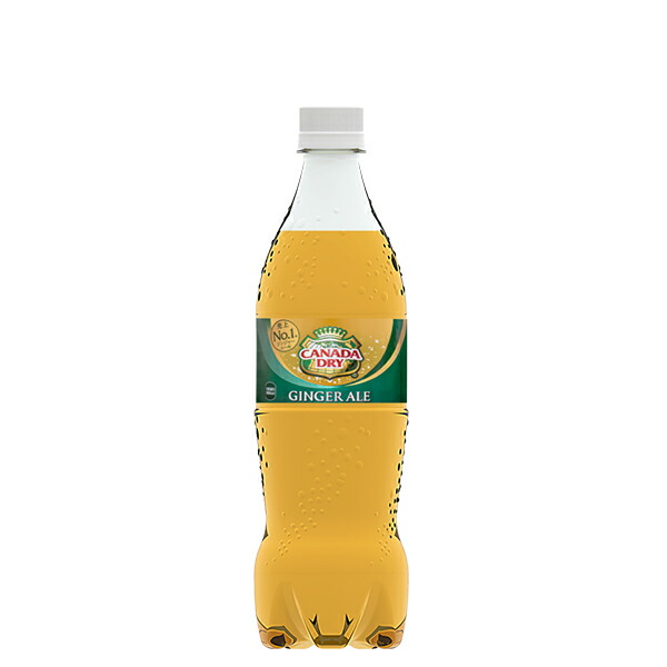 カナダドライ ジンジャーエール 700ml PET×20本×2ケース コカコーラ社 Coca-Cola 中型容量 炭酸