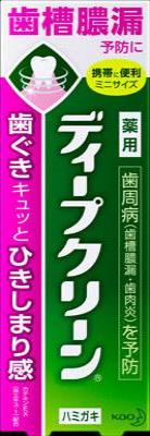 花王 ディープクリーン薬用ハミガキ　６０ｇ ×48個【送料無料】【オーラル】【歯磨き】【歯ブラシ】