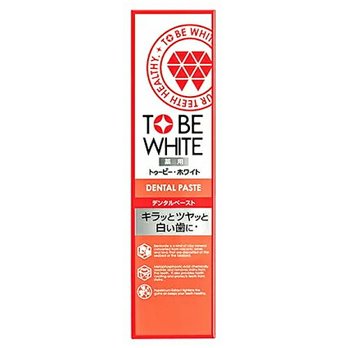 ストーリア トゥービーホワイト 薬用デンタルペースト 100g×24個