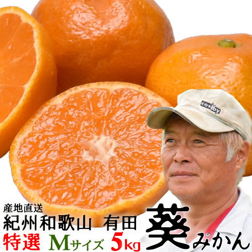 ■和歌山産 訳あり 紀州葵 みかん 箱込み10キロ■ 楽天市場】【全商品ポイント10倍 1/24(土)20:00〜1/25(日)23:59
