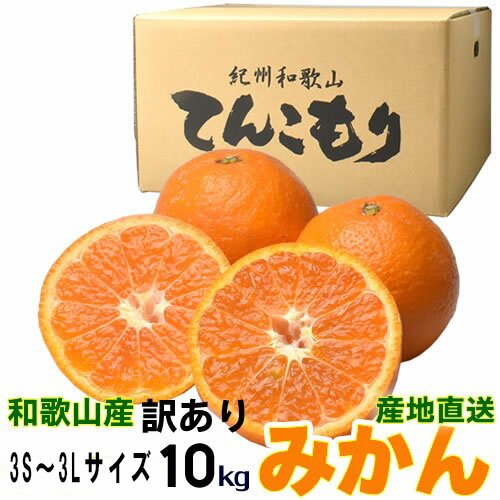 (数量限定) 訳あり和歌山みかん 約10kg 3S〜3Lサイズ【送料無料（北海道・沖縄以外）】サイズ混合もしくはサイズ統一・キズ・シワ・他【みかん 10kg 送料無料 訳ありみかん/わけあり】画像