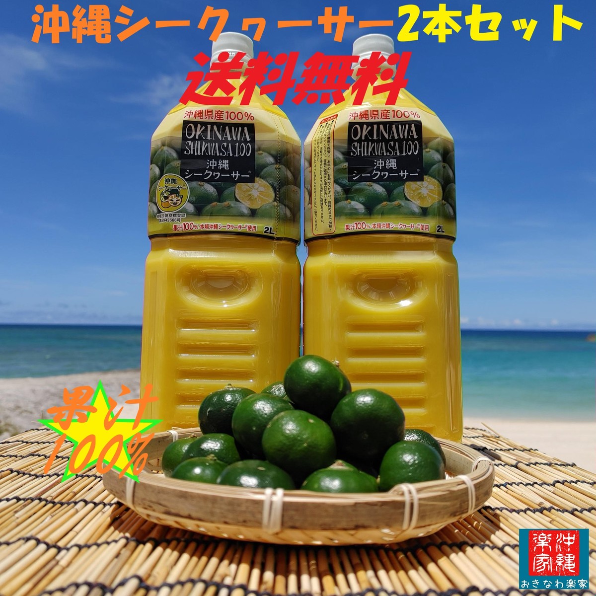63円 値下げ パパギャバ 200ml GABA 青パパイヤ果汁4％ オキハム