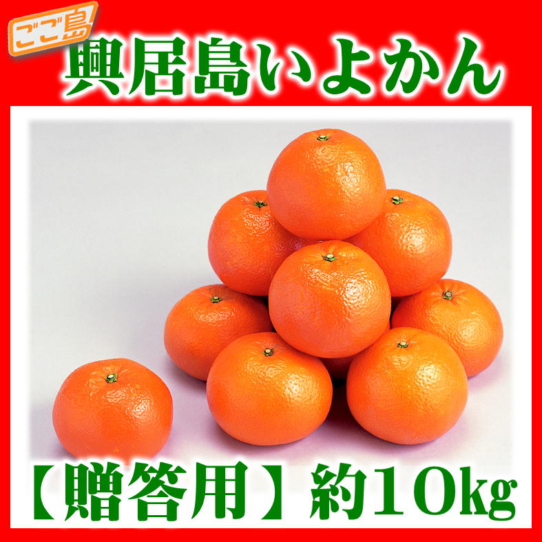 楽天市場】いよかん 家庭用 興居島いよかん 約10kg 愛媛県産 伊予柑