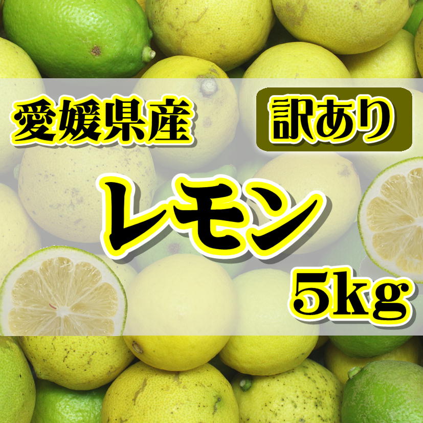 無農薬レモン 5kg 愛媛県産