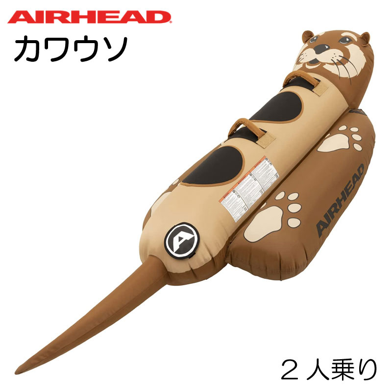 AIRHEAD エアーヘッド BLAST ブラスト 2人乗り トーイング