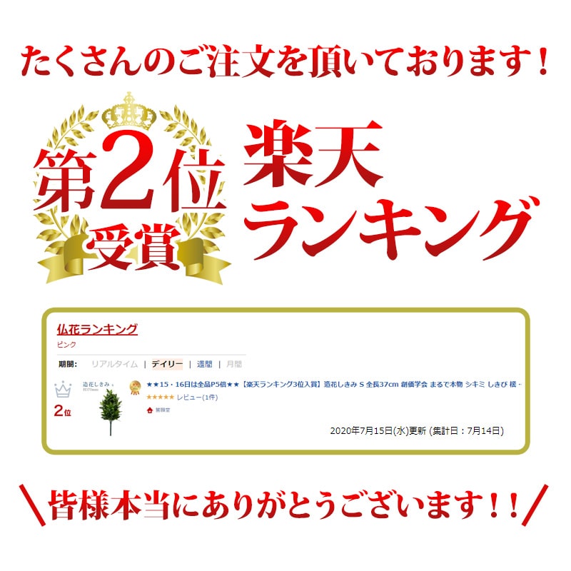 新品 送料無料 全品P2倍5％OFF 全長37cm 創価学会 まるで本物 シキミ しきび 樒 仏壇 仏具 SGI あす楽 おしきみ おしきび しきみ  お供え 墓参り お彼岸 お盆 qdtek.vn