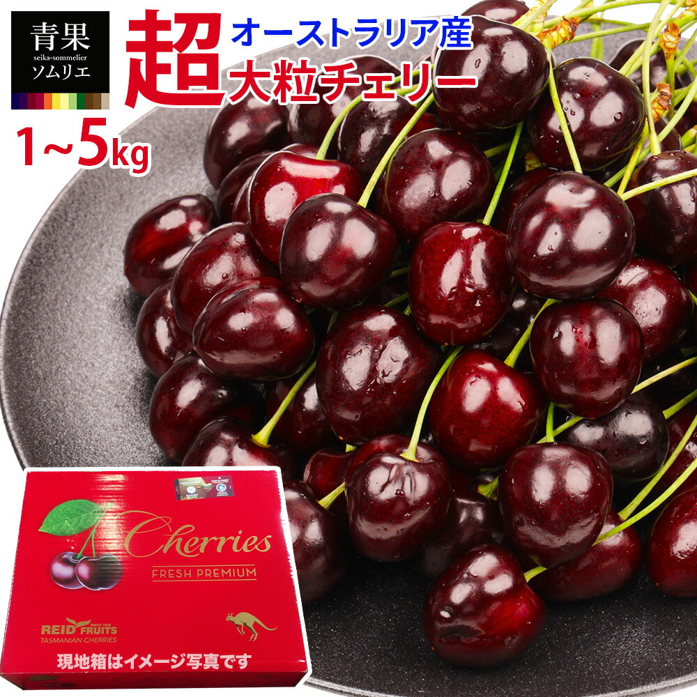 レイニアチェリー 爆大号2kgクール便 楽天市場】予約【 クール便 】レイニアチェリーアメリカ 幻の 大粒