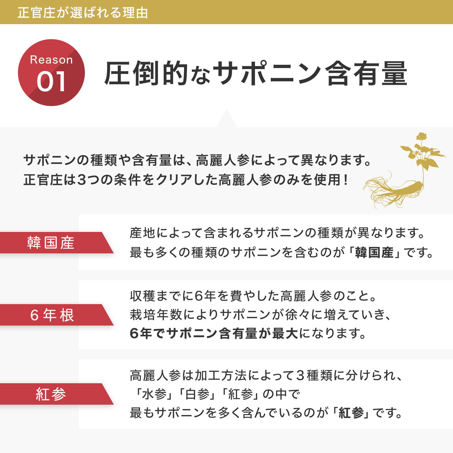 通販限定 アナドレン様専用 正官庄 高麗人参 6年根 良参30支 鹿木3寸5分 コスメ 香水 美容 Rspg Spectrum Eu