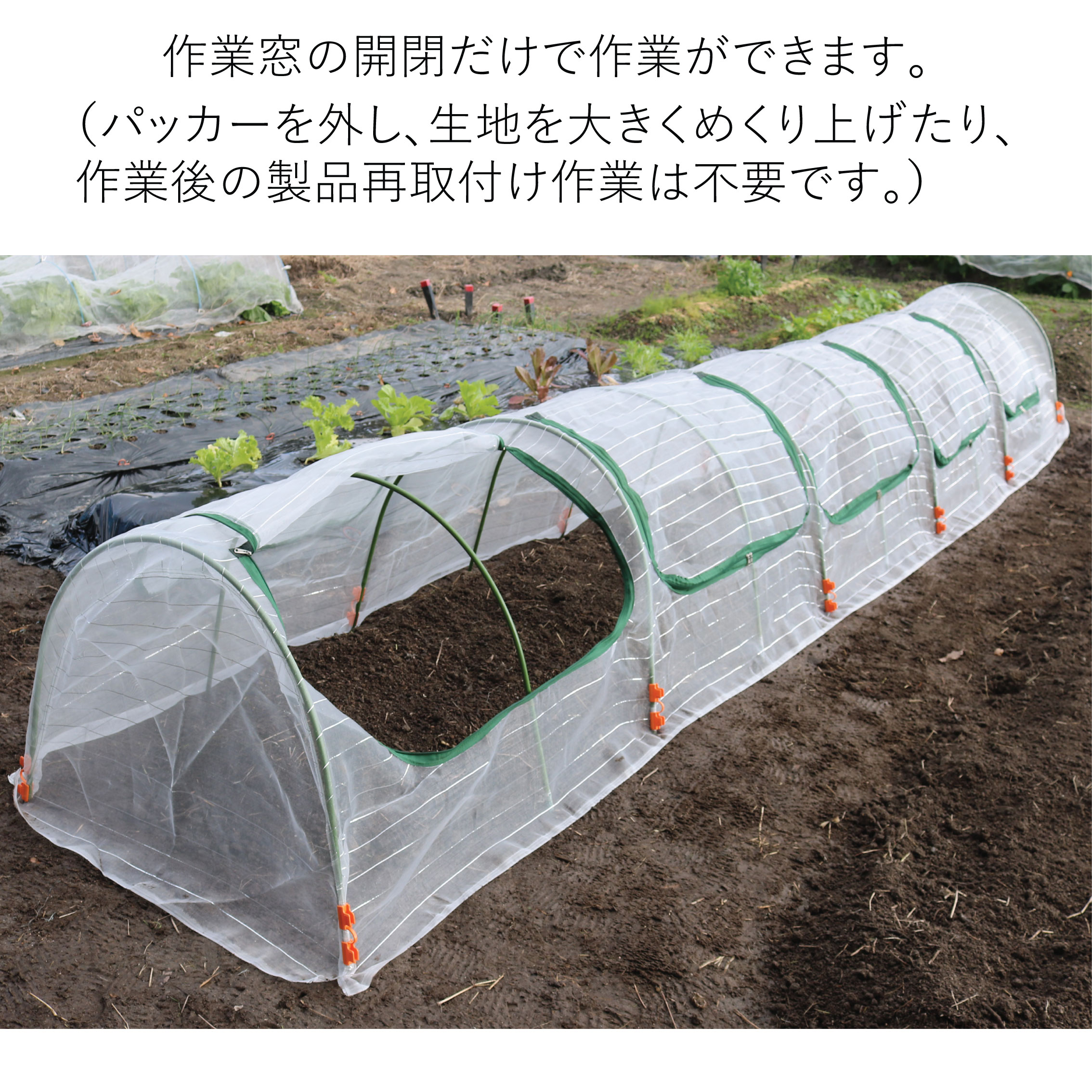 全国組立設置無料 ピンク 防虫ネット 農機 農業 ビニールハウス 水耕 パイプ 野菜 施 Sale 30 Off Traverserdl Com