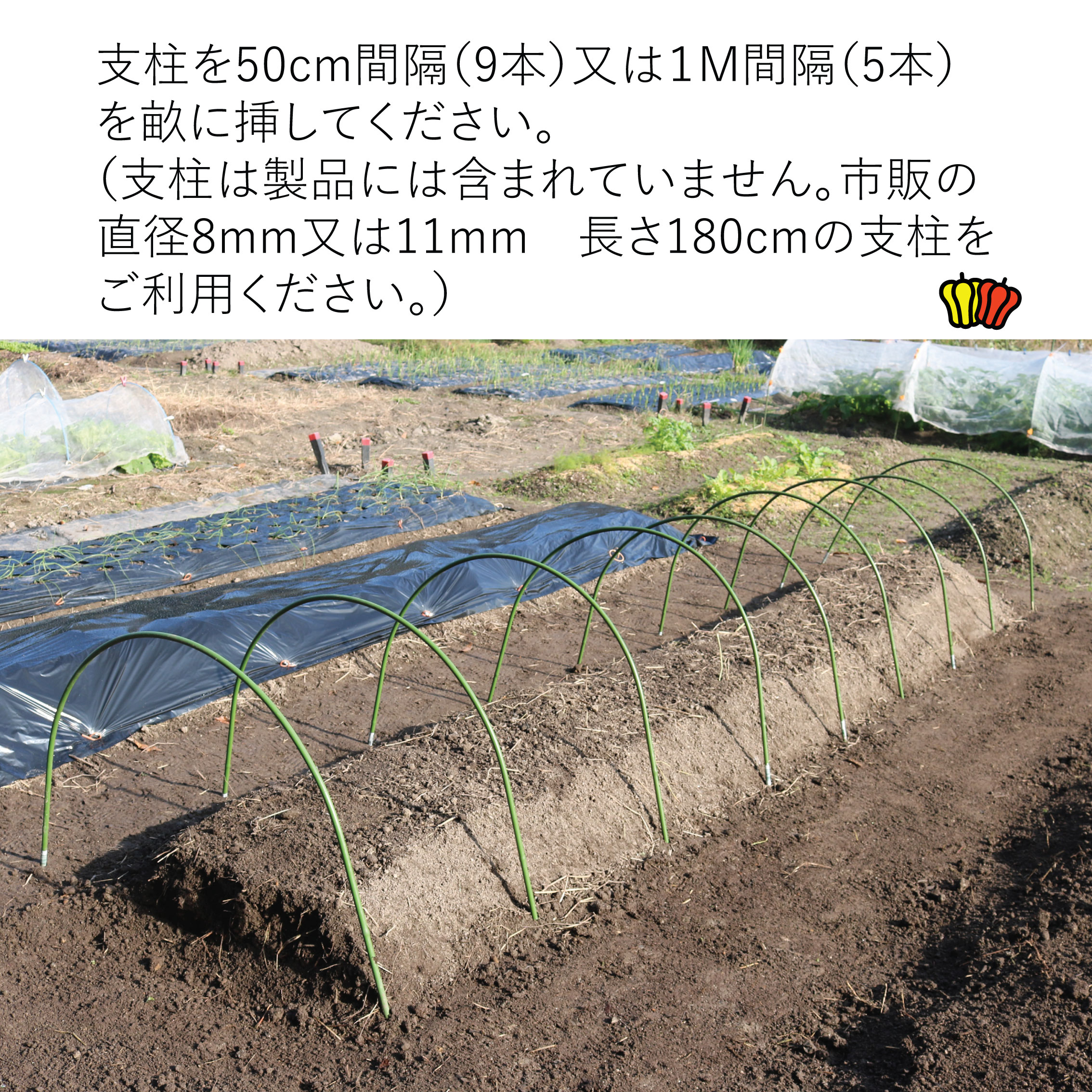 楽天市場 ビニールハウス 家庭用 小型 菜園用らくらく保温カバー 4m 作業窓 4カ所 トンネル用 保温カバー 雨よけカバー 家庭菜園 菜園用品 トンネル ビニール ビニールカバー シート 大きめ 組み立て 温室 ビニール温室 庭 雨除け 雨よけ 園芸用品 農業資材