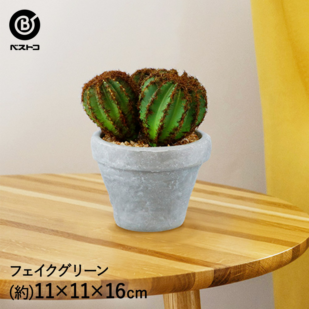 ｅｖａポット アート プロプル ラウンド 1 観葉植物 フェイク ミニ 人工観葉植物 造花 多肉植物 小さい インテリアグリーン おしゃれ プレゼント ギフト コンパクト 人工 鉢 グリーン インテリア 植物 新生活 フェイクグリーン 小型 人工植物 グリーンインテリア 卓上