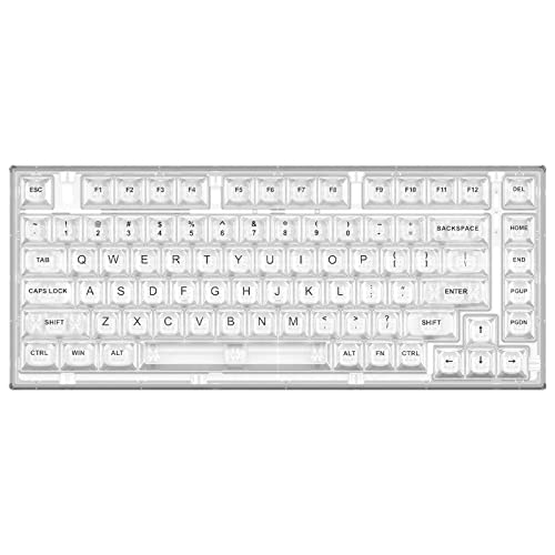 YUNZII X75 ホットスワップメカニカルキーボード 透明なキーキャップ ガスケット装着75キーボード RGBバックライト付き ゲーミングキーボード Windows/Mac対応(Kailh ジェリーフィッシュ軸、有線ホワイト）