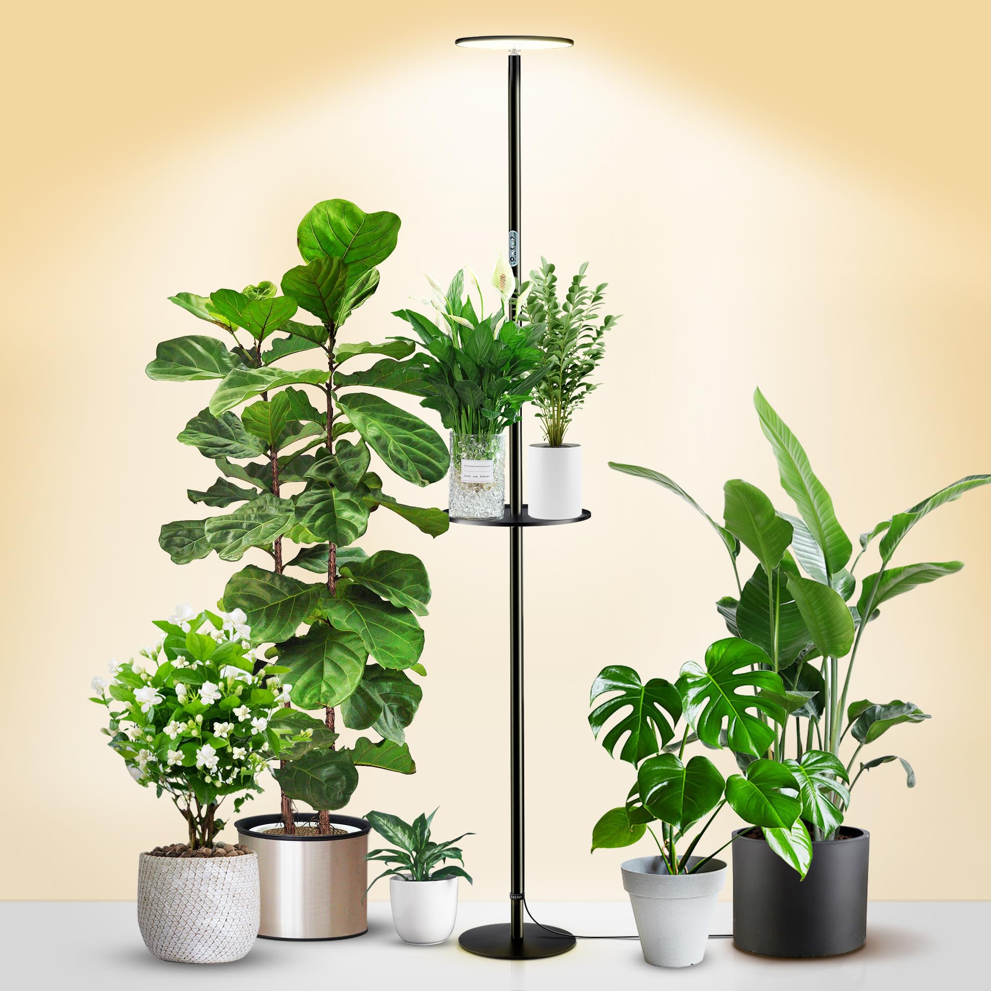 chiphyはライト、屋内植物のためのフルスペクトルLEDの植物ライト、皿が付いているすべての金属の永続的なフロア・ランプ、10レベルのDimmableの明るさ、調節可能な69 "高さ、小さい高い植物のための理想を育てる|生活応援ショップ 店