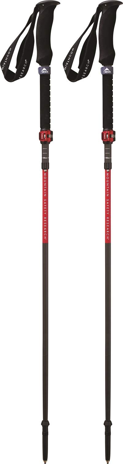 エムエスアール(MSR) スキー ポール バックカントリー ダイナロック アッセント 120~140 cm 【日本正規品】 40237|生活応援ショップ 店