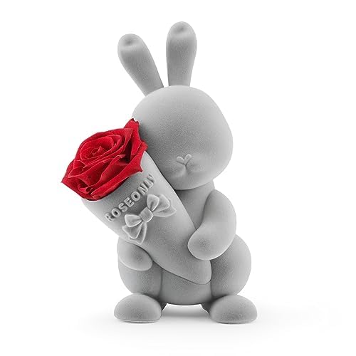楽天市場】ROSEONLYプリザーブドフラワーハニーラビットとデスティニー