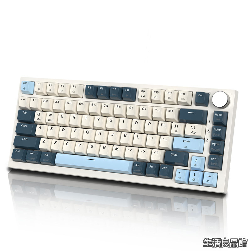 【貨物輸送無料】SHARK K85 75％ ラピッド銃の引き金 ゲーミングキーボード 磁気取り替えっこ ガスケットマウント 熱っぽい切りかえる相応う アンチ生きすだま PBT足懸かり旗がしら TKL 82足懸かり ノッブ付き添い人 有線Type-C繋ぎ合わせる Windows、Mac os、リナックス相応う （ブルーベリー）