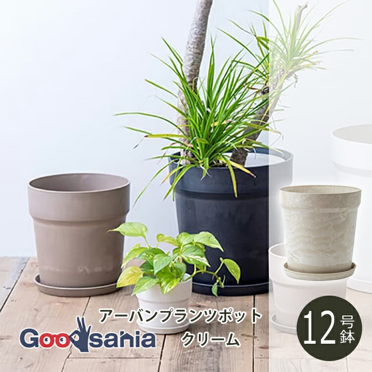 POSH LIVING 植木鉢 アーバンプランツポット 12号鉢 クリーム 81155 ( ポッシュリビング 鉢植え 鉢 プランツポット グリーンポット ポット 12号 ソリッド 軽い プラスチック 植物 グリーン インテリア )｜Goodsania