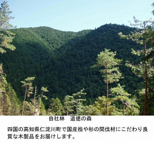 激安先着 ＼エントリーでポイント5倍 19日20:00〜26日1:59まで 池川木材工業 桧便利台 何でものるゾウ 大 qdtek.vn