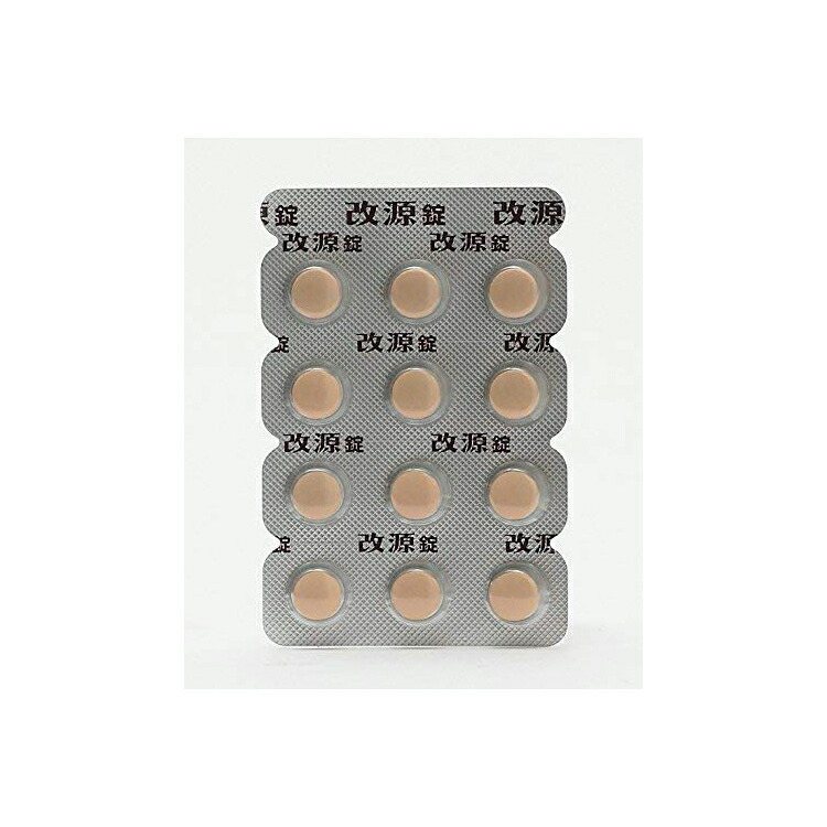 豊富な品 改源錠 36錠 qdtek.vn 豊富な品 改源錠 36錠 qdtek.vn
