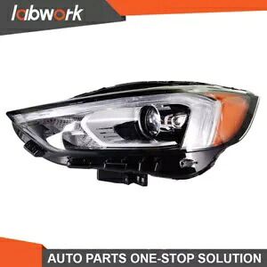 Labwork ヘッドライト 2019-2021 フォード エッジ フル LED DRL クリアレンズ付き 左側 Labwork Headlights For 2019-2021 Ford Edge Full LED w/ DRL Clear Lens Left Side 【並行輸入品】