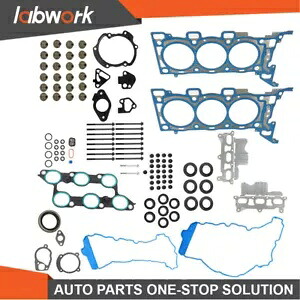 Labwork ヘッドガスケットボルトセット 09-16 シボレー トランバース ビュイック エンクレーブ GMC 3.6用 Labwork Head Gasket Bolt Set For 09-16 Chevrolet Tranverse Buick Enclave GMC 3.6 【並行輸入品】