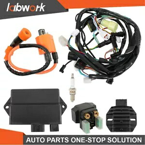 Labwork 点火コイル CDI リレーレギュレータワイヤーハーネスヤマハラプター YFM350R Labwork Ignition Coil CDI Relay Regulator Wire Harness For Yamaha Raptor YFM350R 【並行輸入品】