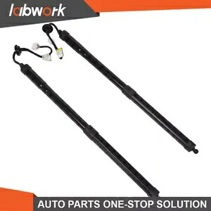 Labwork 電気テールゲートストラット 2 個 905614BA4A 日産ローグ S SL SV 14-19 Labwork Electric Tailgate Struts 2Pcs 905614BA4A For Nissan Rogue S SL SV 14-19 【並行輸入品】