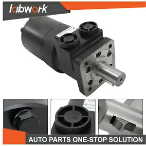 Labwork 油圧モーター ブラック 101-1008-009 Eaton Char-Lynn H シリーズ 1011008 用 Labwork Hydraulic Motor Black 101-1008-009 for Eaton Char-Lynn H Series 1011008 【並行輸入品】