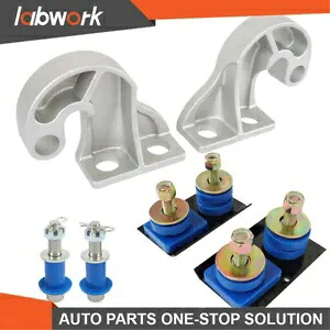 Labwork 下部フードピボット & エンジンフードヒンジピボットボルトキットピータービルト 379 378 Labwork Lower Hood Pivot& Engine Hood Hinge Pivot Bolt Kit For Peterbilt 379 378 【並行輸入品】