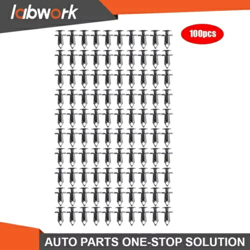 Labwork 100x 8mm 車穴プッシュピンクリッププラスチックリベットファスナーフェンダーバンパー Labwork 100x 8mm Car Hole Push Pin Clips Plastic Rivets Fastener Fender Bumper 【並行輸入品】 30,745円
