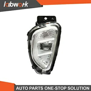 Labwork フォグランプ 2020-2022 フォードエスケープ LED バンパーランプ + スイッチ左側 Labwork Fog Lights For 2020-2022 Ford Escape LED Bumper Lamps+Switch Left Side 【並行輸入品】
