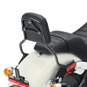 取り外し可能なシーシーバーバックレストパッドハーレー FLSB FXLR FXLRS 2018-2023 に適合 Detachable Sissy Bar Backrest Pad Fit For Harley FLSB FXLR FXLRS 2018-2023 【並行輸入品】
