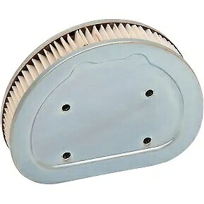 DRAG SPECIALTIES 1011-4219 交換用エアフィルターエレメント 99-01 EFI DRAG SPECIALTIES 1011-4219 Replacement Air Filter Element 99-01 EFI 【並行輸入品】