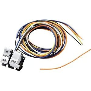 Drag DS-272257A クローム Hi/Lo ビームディマー & ホーンスイッチ ハーレー 82-95 用 Drag DS-272257A Chrome Hi / Lo Beam Dimmer & Horn Switch for Harley 82-95 【並行輸入品】