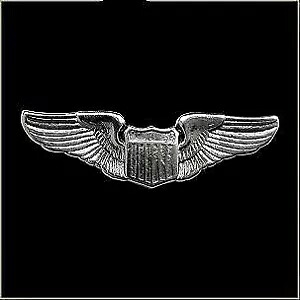 アメリカ空軍パイロットウィング記章とシールドピン、帽子ベストまたはラペル用 USA Air Force Pilot Wing Insignia & Shield Pin for Hat Vest or Lapel 【並行輸入品】