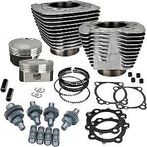 S&S CYCLE 910-0702 フーリガン エンジン パフォーマンス キット - 1250cc - シルバー S&S CYCLE 910-0702 Hooligan Engine Performance Kit-1250cc - Silver 【並行輸入品】