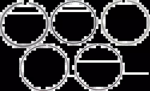 2006-2010 ヤマハ アペックス L-TX GT 1000 WOSSNER ピストンリングセット 740XAS-3 2006-2010 for Yamaha Apex L-TX GT 1000 WOSSNER Piston Ring Set 740XAS-3 【並行輸入品】