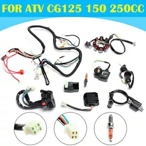 ATV クワッド電気配線ハーネス スパーク プラグ スイッチ CDI キット CG125 150 250CC 用 ATV Quad Electric Wiring Harness Spark Plug Switch CDI Kit for CG125 150 250CC 【並行輸入品】