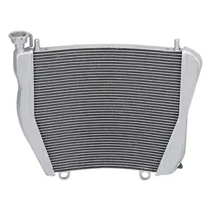 ラジエーター冷却クーラー Ducati Streetfighter V4 2020-2023 SP 2022 に適合 Radiator Cooling Cooler Fits For Ducati Streetfighter V4 2020-2023 SP 2022 【並行輸入品】