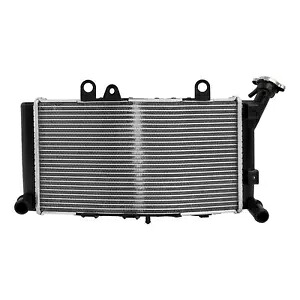 ラジエーター エンジン冷却 BMW F750GS F850GS 19-24 F850GS Adventure 19-24に適合 Radiator Engine Cooling FitS For BMW F750GS F850GS 19-24 F850GS Adventure 19-24 【並行輸入品】