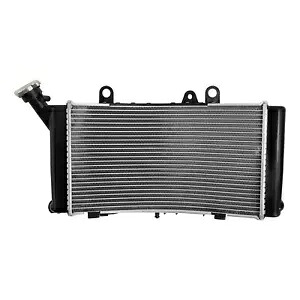 ラジエータークーラー冷却 BMW F750GS 2019-2024 F850GS 2019-2024 2020 2021用 Radiator Cooler Cooling Fit For BMW F750GS 2019-2024 F850GS 2019-2024 2020 2021 【並行輸入品】