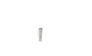 VTwin シングル テールランプ レンズネジ 1973-1998 ハーレー ツーリング ソフテイル スポーツスター用 VTwin Single Tail Lamp Lens Screw for 1973-1998 Harley Touring Softail Sportster 【並行輸入品】