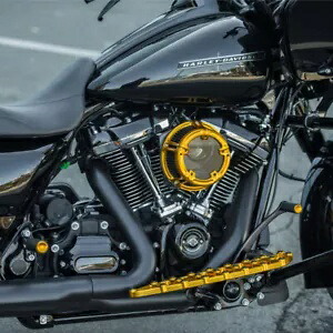 アレンネス ゴールドメソッド エアクリーナーフィルター 99-17 ハーレー ツーリング ソフテイル FLHX FLS Arlen Ness Gold Method Air Cleaner Filter 99-17 Harley Touring Softail FLHX FLS 【並行輸入品】