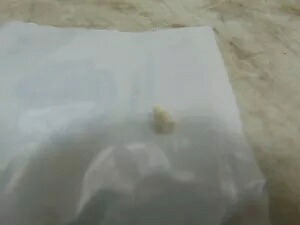 純正ハーレーダビッドソン シールピンプラグ 1.5 数量 1 P/N: 69200191 Genuine Harley Davidson Seal Pin Plug 1.5 Qty 1 P/N: 69200191 【並行輸入品】