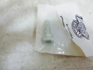 純正ハーレーソケットヘッドトルクスキャップスクリュー P/N: 4168 Genuine Harley Socket Head Torx Cap Screw P/N: 4168 【並行輸入品】
