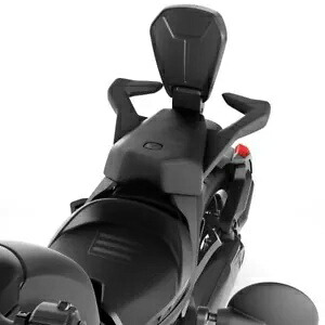 新品本物 OEM Can-Am Ryker 折りたたみ式助手席背もたれ 219400843 New Genuine OEM Can-Am Ryker Foldable Passenger Backrest 219400843 【並行輸入品】