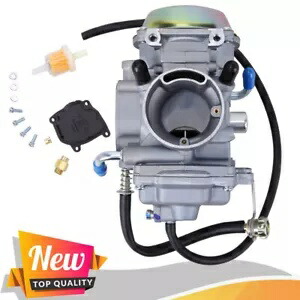 キャブレター 炭水化物 Arctic Cat 300 1998 1999 2000 2x4 4x4 300 Arctic Cat 米国用 Carburetor Carb for Arctic Cat 300 1998 1999 2000 2x4 4x4 300 Arctic Cat US 【並行輸入品】