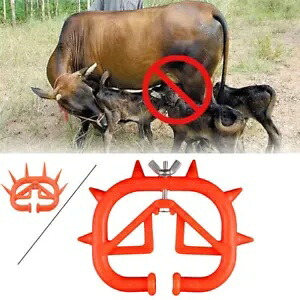 分娩離乳給餌子牛離乳鼻プラスチックリングフィットウシ牛 Calving Weaning Feeding Calf Weaner Nose Plastic Ring Fit Bovine Cow Cattle 【並行輸入品】