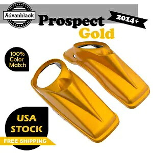 プロスペクトゴールド 8 インチサドルバッグスピーカー蓋カバーハーレーツーリング 14+ Prospect Gold 8 inch Saddlebag Speaker Lids Cover For Harley Touring 14+ 【並行輸入品】