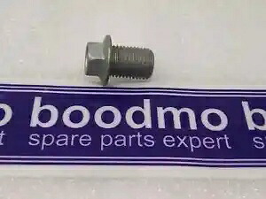 MARUTI BALENO、BREZZA、CELERIO、ERTIGA、GRAND VITARA、SWIFT、WAGON R、X用ボルト Bolt for MARUTI BALENO, BREZZA, CELERIO, ERTIGA, GRAND VITARA, SWIFT, WAGON R, X 【並行輸入品】